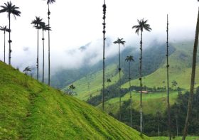 Unlikely Food Destinations I Love to Visit