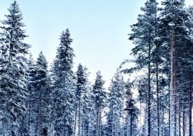 Sauna and Finding the Ultimate Freedom in Helsinki